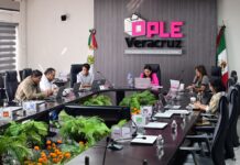 La plataforma “Estadística y Datos Abiertos” del OPLE Veracruz impulsa la transparencia y la innovación desde lo local