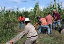 CFE intensifica acciones de mantenimiento y fortalecimiento de la infraestructura eléctrica en Veracruz