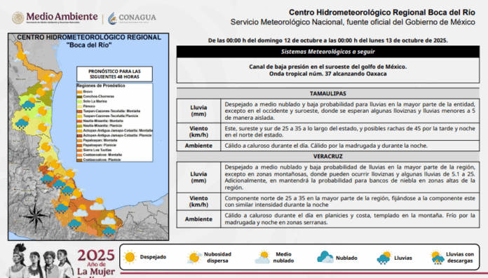 Captura de pantalla 2025-10-12 082723