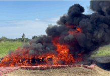 FGR y SEMAR destruyen más de 300 toneladas de drogas decomisadas en Veracruz