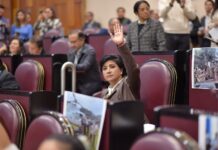 La emergencia sigue en el norte del Estado; se requiere ayuda de la Iniciativa Privada: Elízabeth Morales