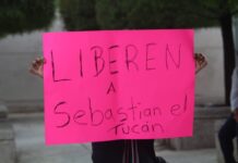 Denuncian presunta muerte de animales en parque Naturalia de Xalapa