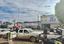 Colectivo “María Herrera” de Poza Rica busca desaparecidos por inundaciones