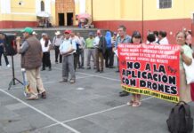 Cafeticultura veracruzana: crisis estructural que amenaza el patrimonio agrícola