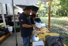 Plan Tajín: cerca de 36 mil comidas y 11 mil 528 paquetes alimentarios entregados