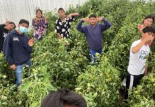 Con huertos escolares Altosano Granjas Carroll impulsa a estudiantes, el conocimiento y la sostenibilidad