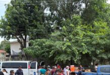 Plan Tajín: Más de 46 mil raciones y 4 mil rescates en la zona norte