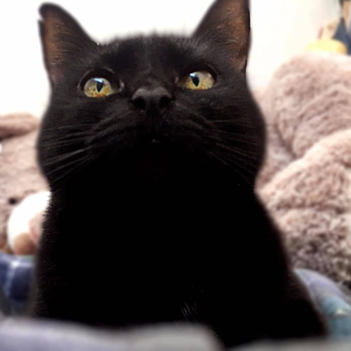 IMG_20250520_173826-1-1-1 (2)