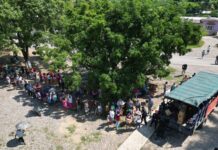 Plan Tajín: atención a población vulnerable con cocina móvil, unidades marítimas y brigadas de apoyo