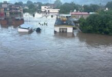 HDI Seguros México hace proyección de daños en Veracruz tras las inundaciones: 83 mdp tan solo en viviendas y comercios; 26 mdp en vehículos