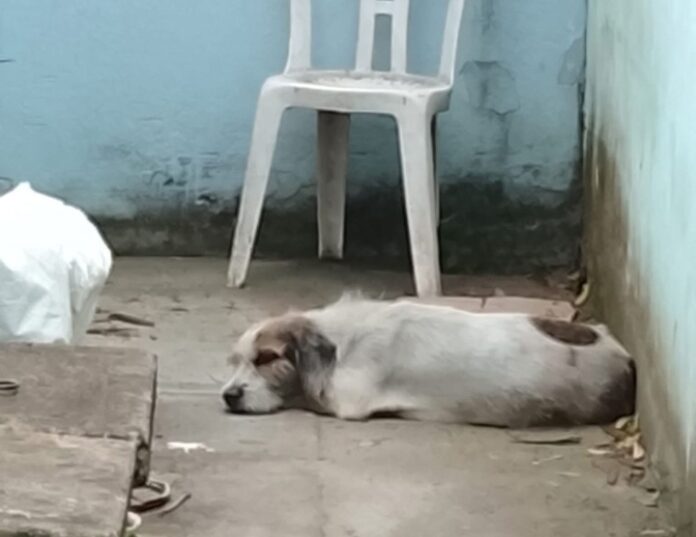 Screenshot_20251031_054124