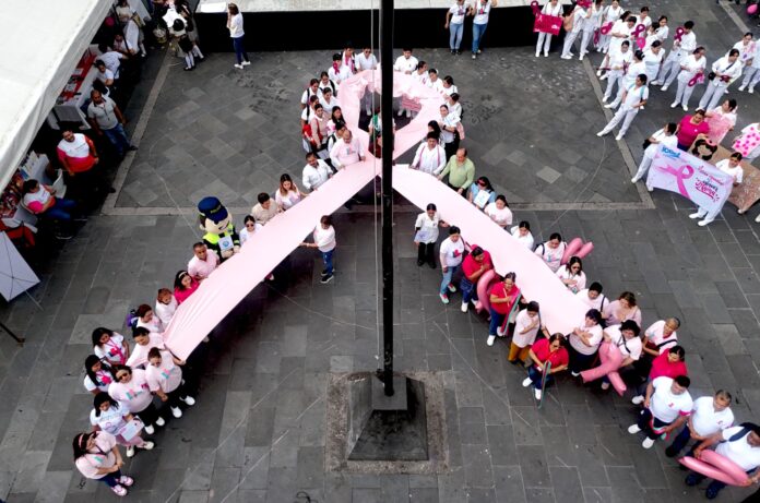 WhatsApp-Image-2025-10-20-at-12.09.14-PM