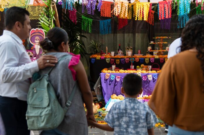 WhatsApp-Image-2025-10-21-at-3.14.45-PM