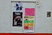 Alerta sanitaria en Coatepec: brote de Coxsackie obliga a cerrar primaria “Rafael Ramírez”