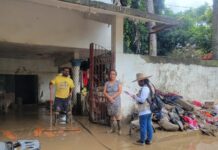 43 mil 578 viviendas ya fueron censadas en Veracruz: Bienestar