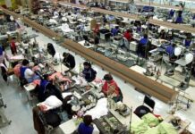 Veracruz: entre el empleo perdido y la economía informal / Hora cero