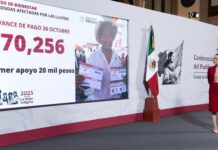 Bienestar reporta avance del censo en Veracruz; 56 mil 093 viviendas registradas