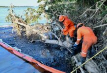 Se han recuperado 2 millones 124 mil 100 litros de hidrocarburo en diez puntos estratégicos ubicados a lo largo del río Pantepec: PEMEX