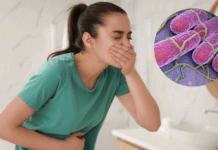 Alerta IMSS Veracruz Norte sobre síntomas de la salmonelosis