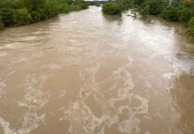 Exige PVEM Veracruz investigación inmediata por derrame de hidrocarburo en el Río Cazones