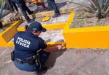 SSP Veracruz y vecinos realizan jornada de recuperación de áreas verdes en Xalapa
