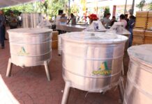 Entrega Sedarpa Fomento Apícola y Meliponicultura para incrementar la producción de miel