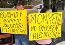 Denuncian que transnacionales y altos funcionarios frenan la Ley del Café