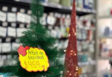 Aranceles provocan disminución en ventas de pinos de Navidad chinos