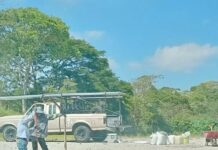 Vuelve invasión a humedal Los Patos en Xalapa