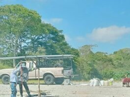 Vuelve invasión a humedal Los Patos en Xalapa