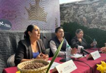 Publican convocatoria para elegir Reina del Café de Coatepec