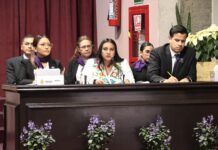 Compromiso, responsabilidad y visión de futuro, claves para el desarrollo ambiental de Veracruz: SEDEMA