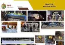 En 11 operativos, detienen a 9 personas en Veracruz; decomisan droga, armas y cartuchos