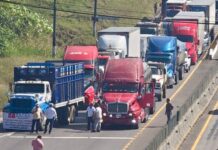 Cierres parciales en carreteras del centro de Veracruz por paro nacional de transportistas