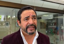 Persisten retos en sanidad y seguridad ganadera en Veracruz