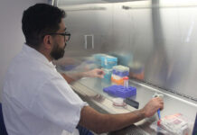 Estudian en UV alternativas para inhibir progresión de células cancerosas