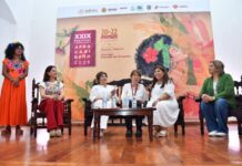 Veracruz: ¿Un cambio cultural en serio o sólo un espejismo? / Miguel Ángel Cristiani