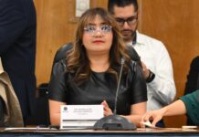 La defensa de los OPLES / Yamiri Rodríguez Madrid