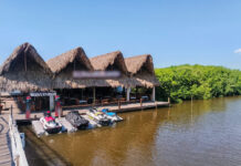 Profepa clausura restaurante en Mandinga por obras en manglar y en humedal