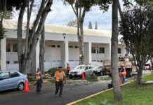 Denuncian tala injustificada de árboles en acceso a Estadio Xalapeño