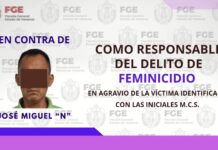 Sentenciado a 51 años y 3 meses de prisión como responsable del delito de feminicidio