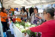 Consume local en la Feria Internacional de la Mujer Emprendedora organizada por el IMMUJERES