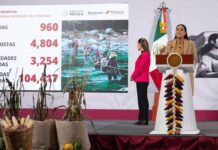 4 mil 5 millones 35 mil pesos para la reconstrucción de Veracruz: Presidencia