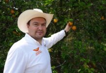 Movimiento Ciudadano anuncia impugnación tras anulación de elección en Jáltipan