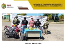 Objetos asegurados durante cateos en San Rafael y Martínez de la Torre