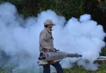 Veracruz, segundo lugar nacional en casos de dengue