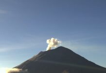 Registra el Popocatépetl 17 exhalaciones con gases volcánicos y ceniza
