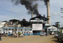 Veracruz celebra nuevo decreto que impulsa al azúcar nacional y beneficia a cañeros