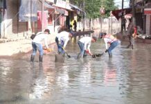 La diferencia entre trabajar y en posar para la foto / Bernardo Gutiérrez Parra