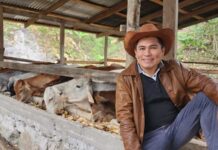 Altas montañas, una década de sangre / Hora cero